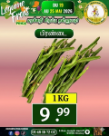 பிரண்டை