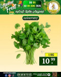 வல்லாரை கீரை 