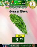 அகத்தி இலை