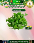 வல்லாரை