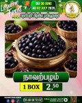 நாவற்பழம் 