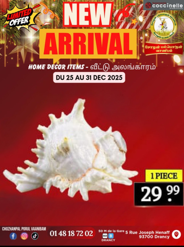 1Piece-சங்கு 