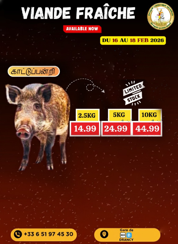 காட்டுப்பன்றி (Available Now)