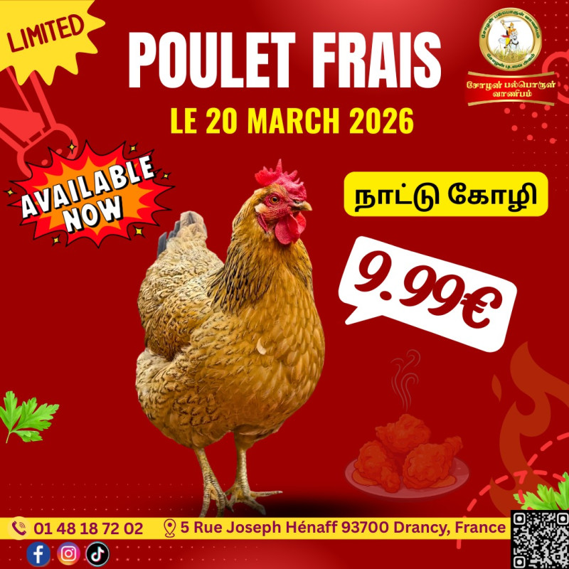 நாட்டுக்கோழி 