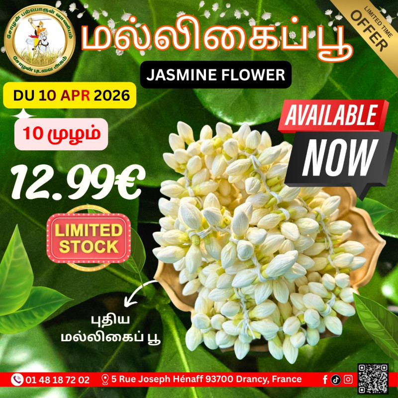 மல்லிகைப்பூ 