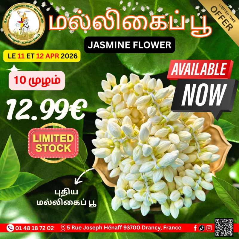 ஜாஸ்மின் மல்லிகைப்பூ 