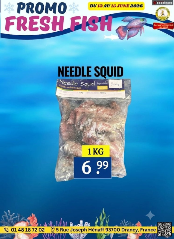 Needle Squid