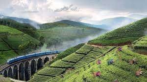 டொலர் கொண்டுவரும் இலங்கை தேயிலை எதிர்கொள்ளும் சவால்கள் கடந்து வருவதற்கான தீர்வுகள் என்ன? 