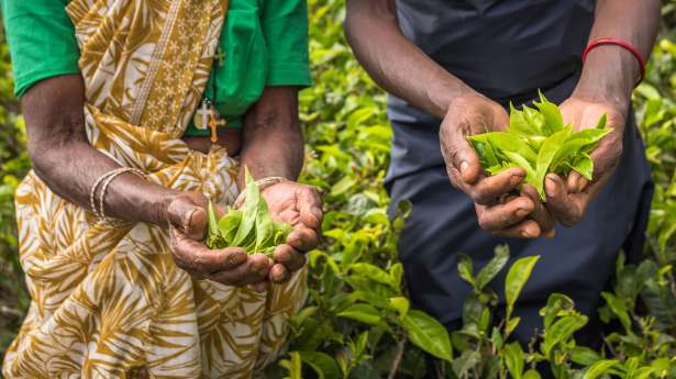 பயிற்சிகளற்ற புலம்பெயர்வுகளால் சிதைக்கப்படும் எதிர்காலம் 