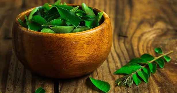  கறிவேப்பிலையின் மருத்துவ பண்புகள் இதோ..!!