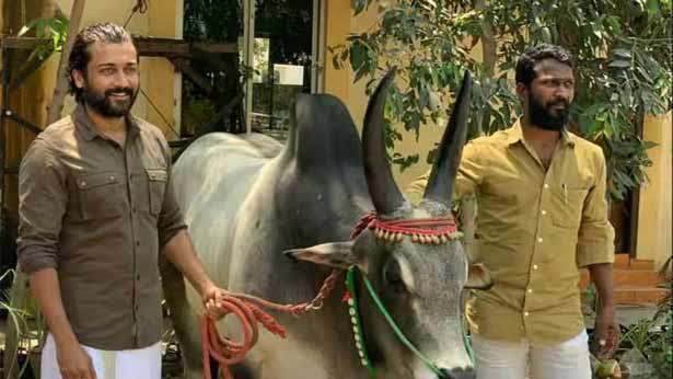 வாடிவாசல் படப்பிடிப்பில் ஏற்பட்ட திடீர் மாற்றம்