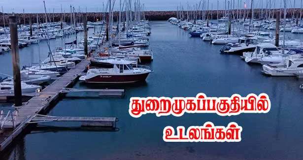 துறைமுகப் பகுதியில் மீட்கப்பட்ட உடலங்கள் - விசாரணை ஆரம்பம்!!