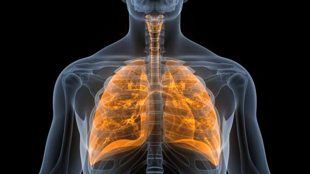 'Bronchite' மூச்சு குழாய் அழற்சிக்கு தீர்வு விரைவில் வருகிறது தடுப்பூசி.