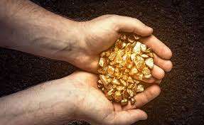 நீச்சல் குளத்திற்காக பள்ளம் தோண்டிய நபருக்கு கிடைத்த புதையல்