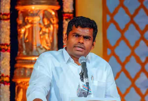 இனி சிக்ஸர் அடிக்குறது தான் வேலை; சொல்கிறார் அண்ணாமலை 