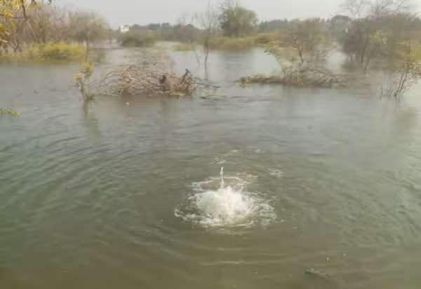 அத்திக்கடவு - அவிநாசி திட்டத்தில் கூடுதல் குளங்கள் இணைக்க வேண்டும்