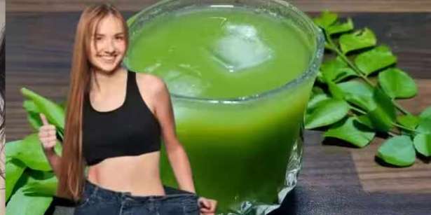 கறிவேப்பிலை சாப்பிட்டால் உடல் எடை குறையுமா ?