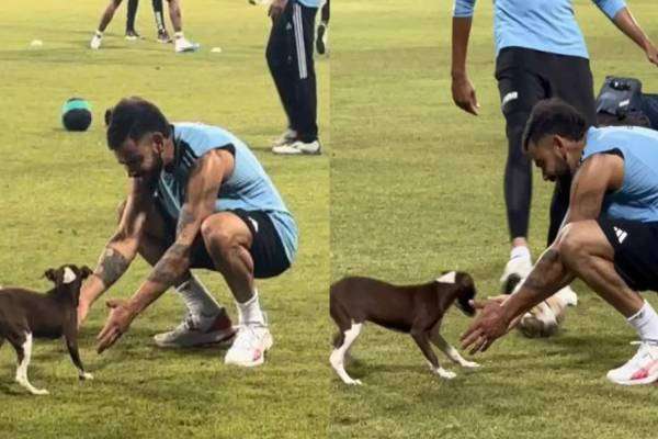 மைதானத்தில் பயிற்சியின் போது நாய்குட்டியுடன் விளையாடிய விராட் கோலி..
