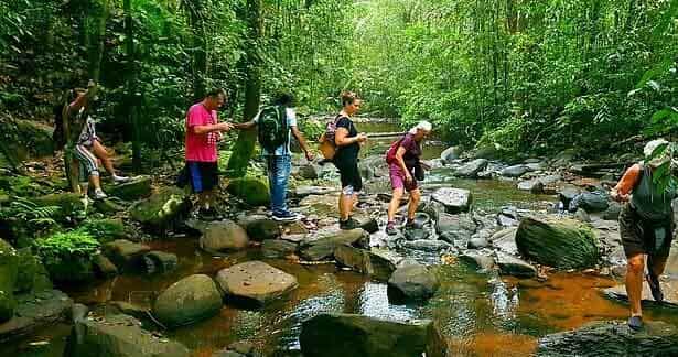 இலங்கையில் கைதான வெளிநாட்டவர்களுக்கு அதிர்ச்சி கொடுத்த நீதிமன்றம்