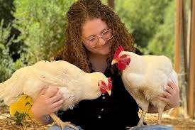 கோழிகளால் சிறை தண்டனைக்கு ஆளான அமெரிக்க பெண்