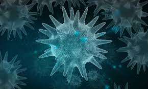 கனடாவில் காய்ச்சல் பரவுகை தொடா்பில் வெளியான அறிவிப்பு