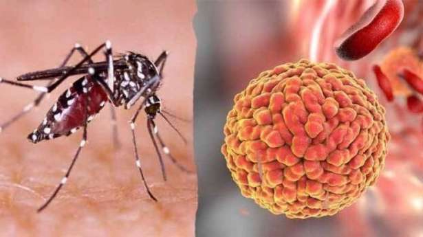 பாகிஸ்தானில் டெங்கு பரவல்.... அதிகரிக்கும் நோயாளிகள்....