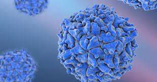 ஜேர்மனியின் ஹம்பர்க் நகரில் கழிவுநீர் மாதிரியில் போலியோ வைரஸ்