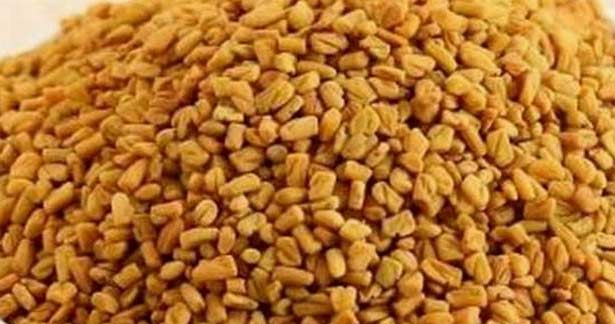வெந்தயத்தை உணவில் சேர்த்துக்கொள்வதால் கிடைக்கும் நன்மைகள் !!