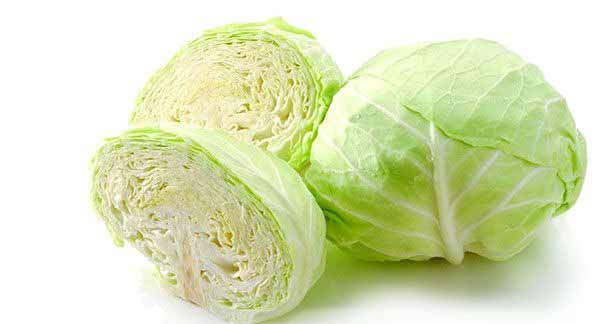 உடல் எடையை குறைக்க உதவும் முட்டைகோஸ் !!