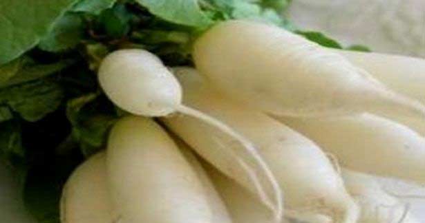 முள்ளங்கியில் இத்தனை பயன்களா...?