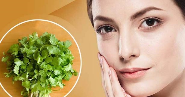 பட்டுப்போன்ற சருமத்திற்கு உதவும் கொத்தமல்லி 